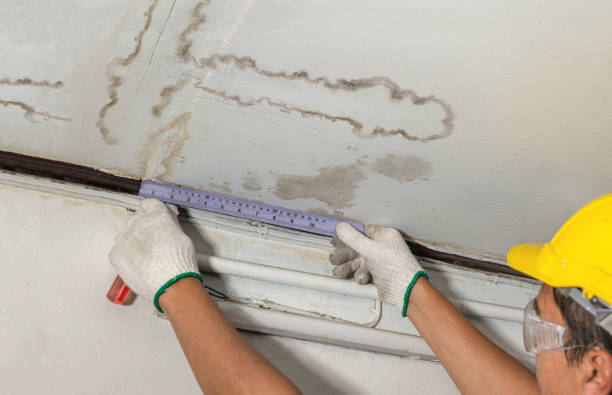 Reliable Structural Drying contractor in Gregory, MI by Water Damage Irwin